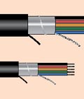 Alpha Wire 電線電纜
